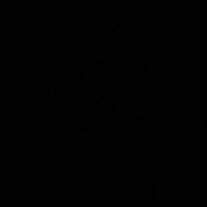 Meet your Posher, Briana